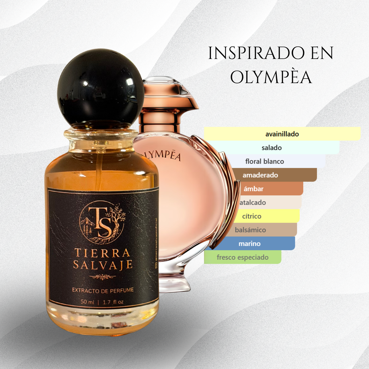 ATENEA | inspirado en Olympéa Rabanne