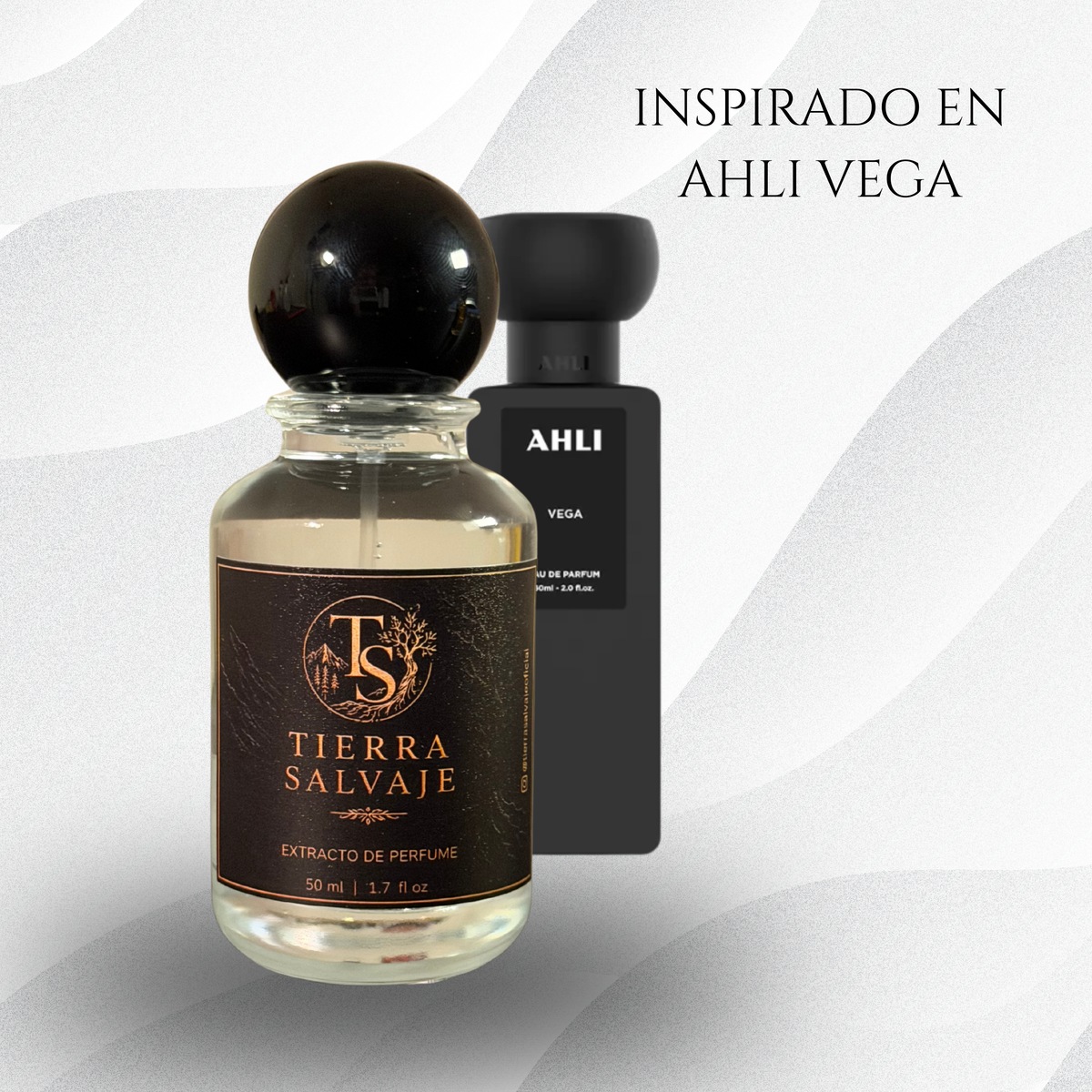 VENUS | inspirado en Ahli Vega